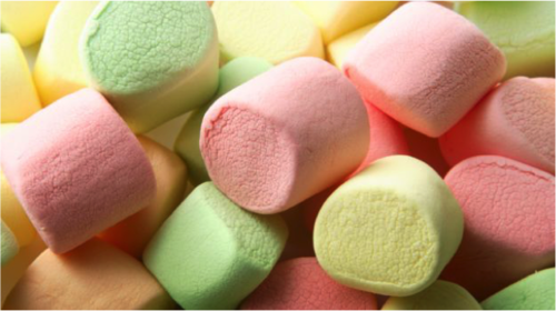 ¿Le damos una vuelta al experimento de marshmallow? - Regenera