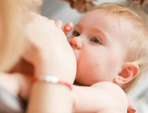 ¿De dónde vienen las bacterias de la leche materna?
