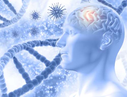 El cerebro como regulador de la inflamación